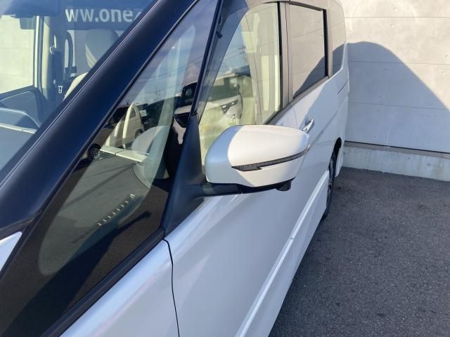 SERENA  S-HYBRID