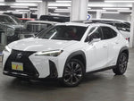 LEXUS UX250h