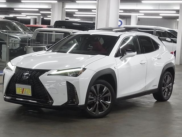 LEXUS UX250h