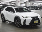 LEXUS UX250h