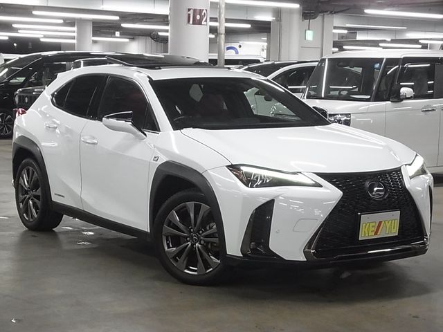 LEXUS UX250h