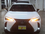 LEXUS UX250h