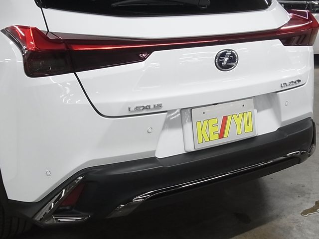 LEXUS UX250h