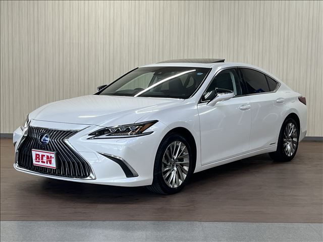 LEXUS ES300h