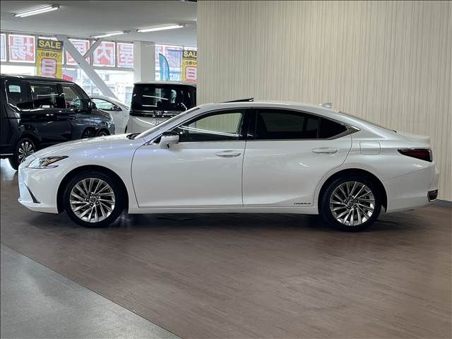LEXUS ES300h
