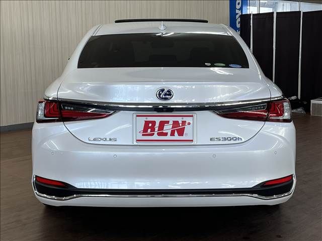 LEXUS ES300h