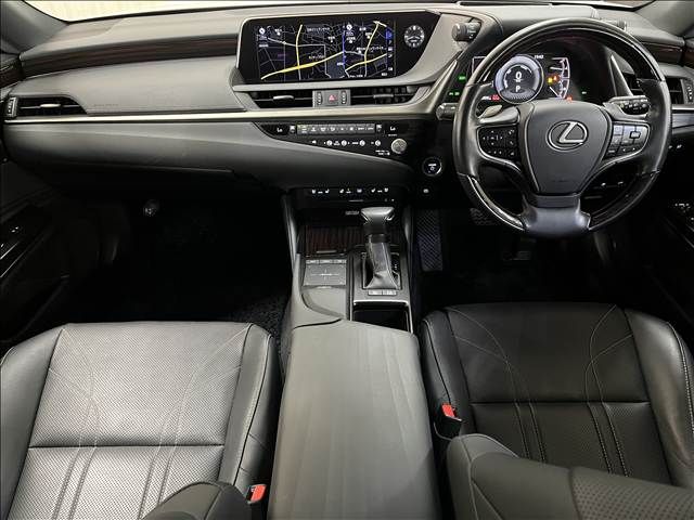 LEXUS ES300h