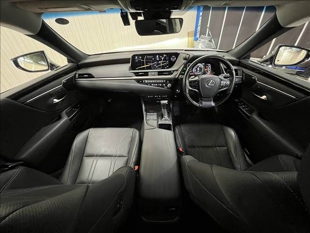 LEXUS ES300h
