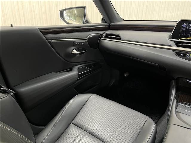 LEXUS ES300h