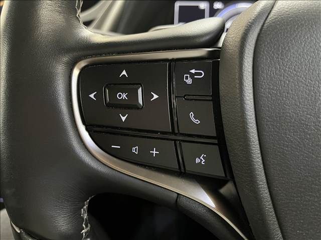 LEXUS ES300h