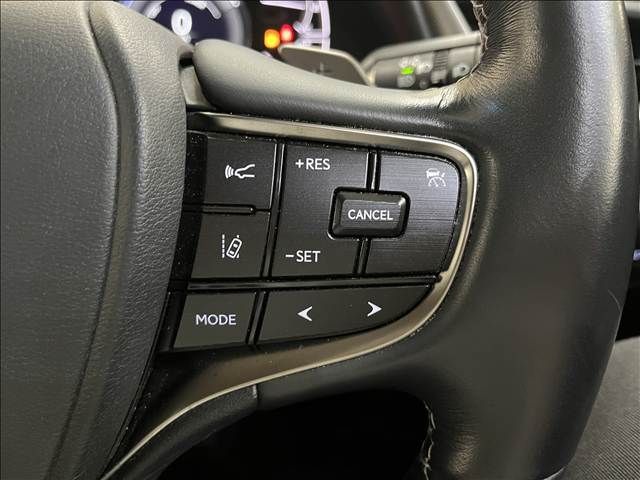LEXUS ES300h