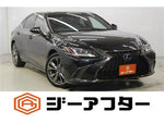 LEXUS ES300h