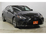 LEXUS ES300h