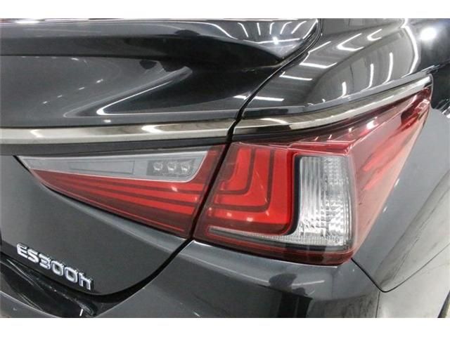 LEXUS ES300h