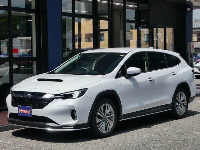 LEVORG LAYBACK