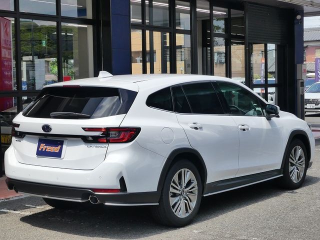 LEVORG LAYBACK