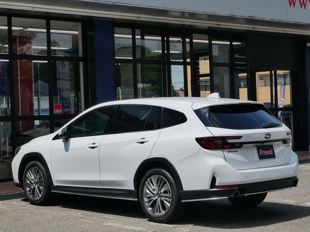 LEVORG LAYBACK