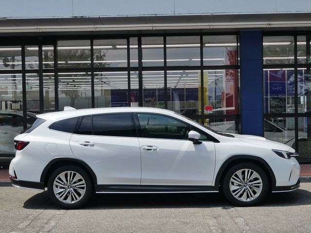 LEVORG LAYBACK