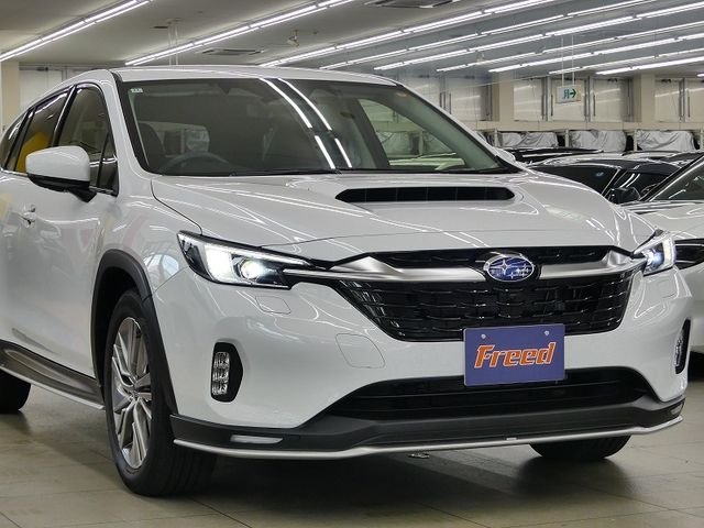 LEVORG LAYBACK