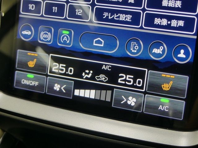 LEVORG LAYBACK
