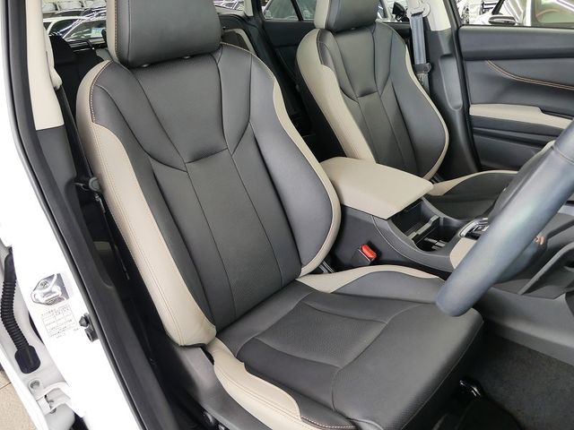 LEVORG LAYBACK