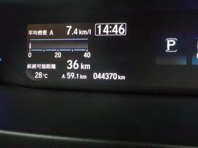 FREED plus