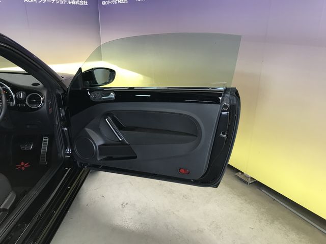 VOLKSWAGEN The BEETLE