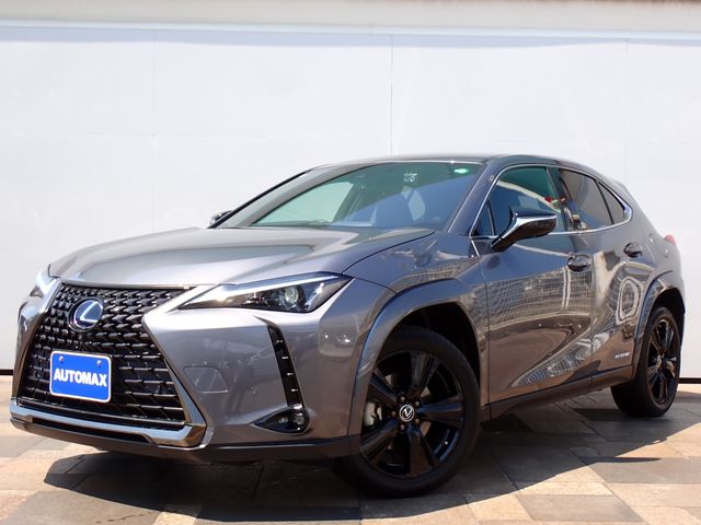 LEXUS UX250h