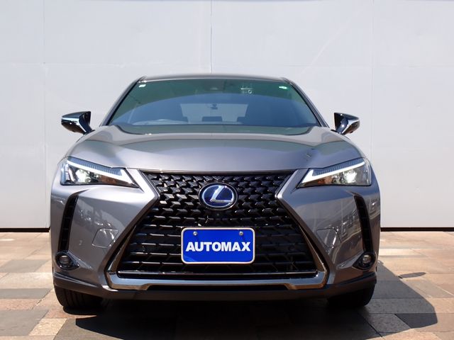 LEXUS UX250h