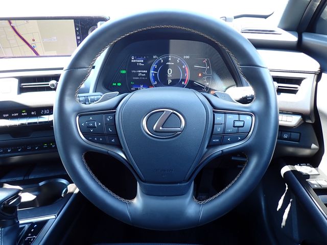 LEXUS UX250h