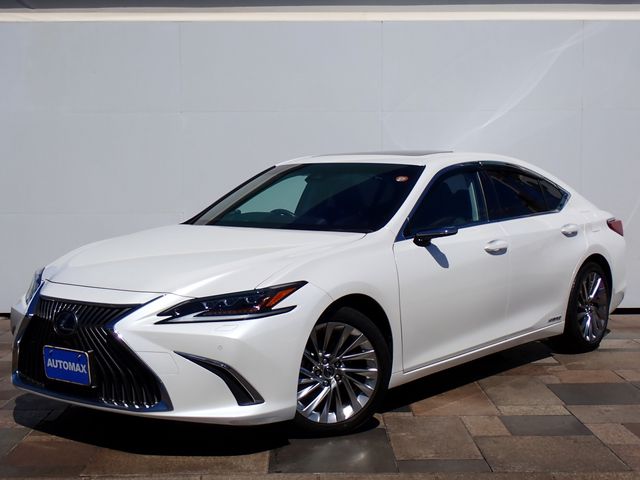 LEXUS ES300h