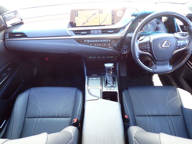 LEXUS ES300h