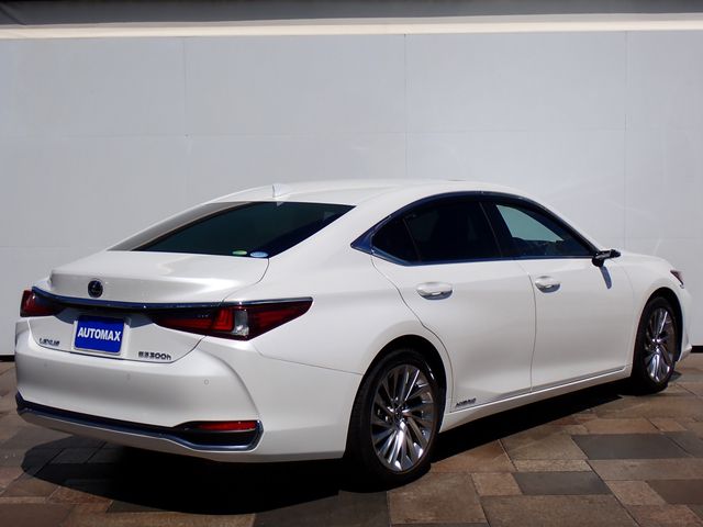 LEXUS ES300h