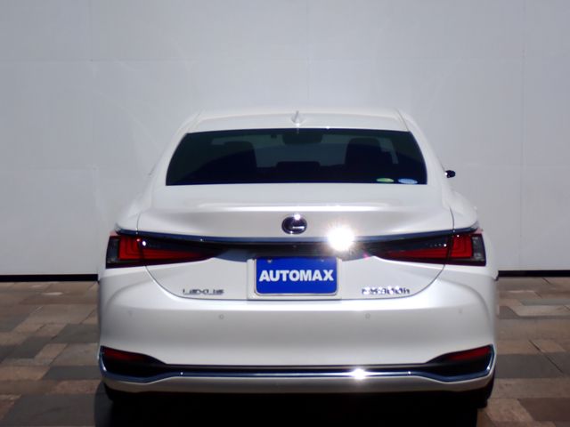 LEXUS ES300h