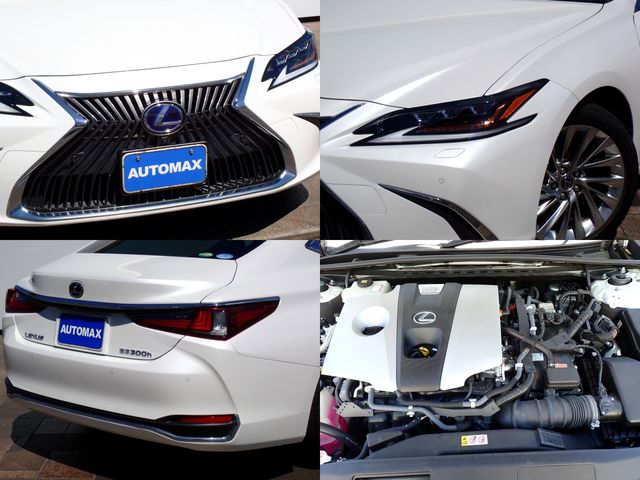 LEXUS ES300h