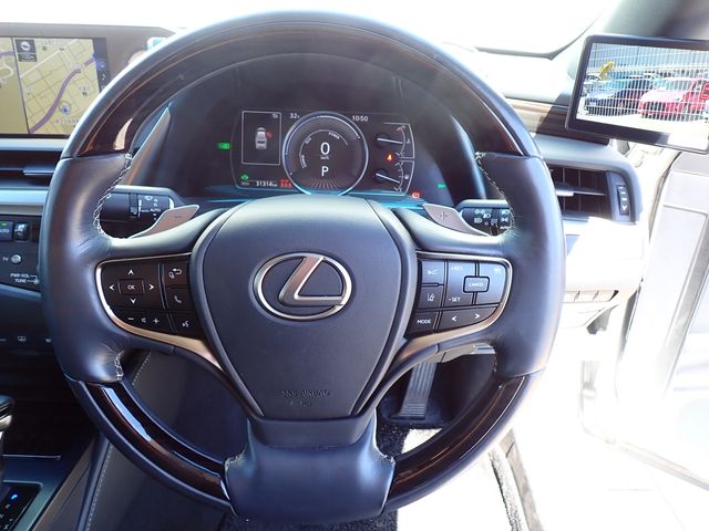LEXUS ES300h