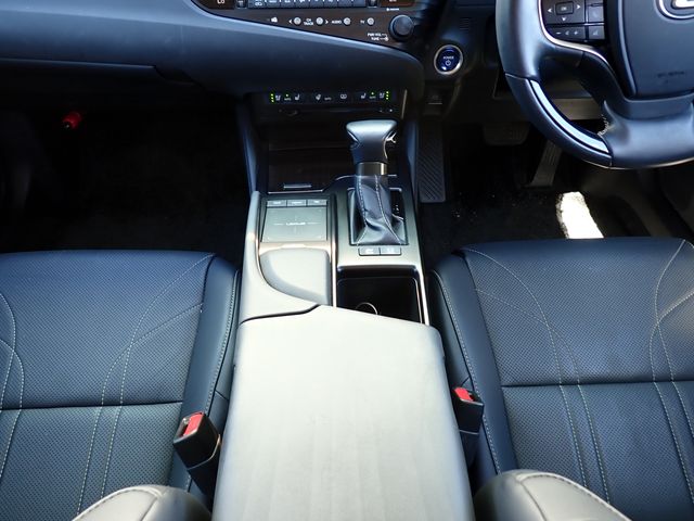LEXUS ES300h