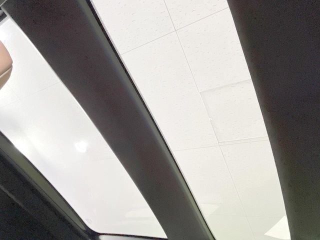 CROWN SPORT