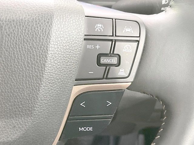 CROWN SPORT