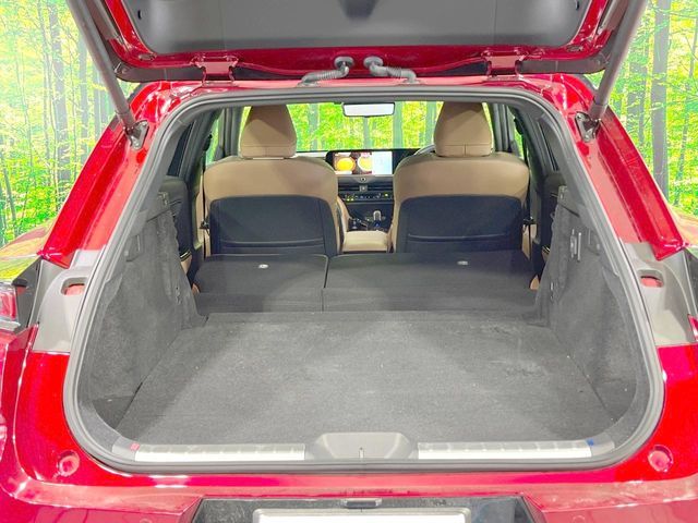 CROWN SPORT