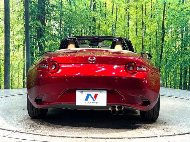 ROADSTER