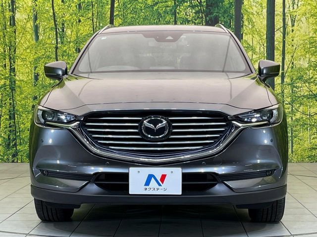 CX-8