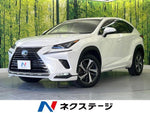 LEXUS NX300