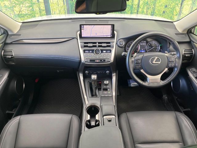 LEXUS NX300