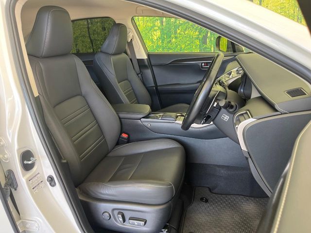 LEXUS NX300