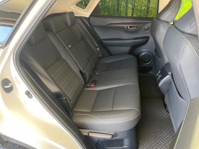LEXUS NX300