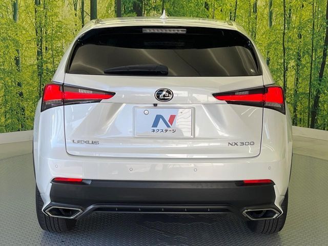LEXUS NX300