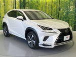LEXUS NX300