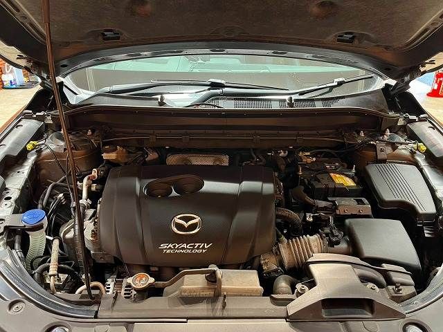 CX-8
