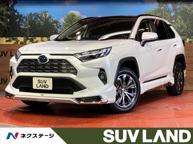 RAV4 HYBRID 4WD